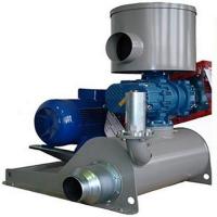 Воздуходувка роторная промышленная Robuschi ROBOX EL 66/3P